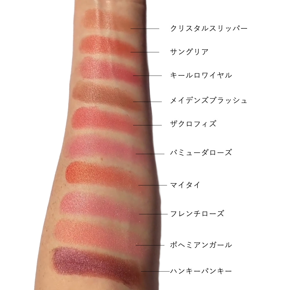 ハイドラパウダーブラッシュ